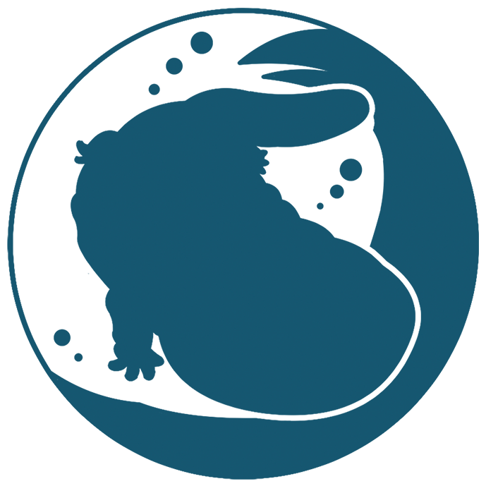 ポケットギャラリー